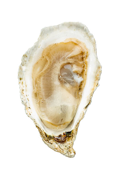 Chebeague Island Oyster Meat
